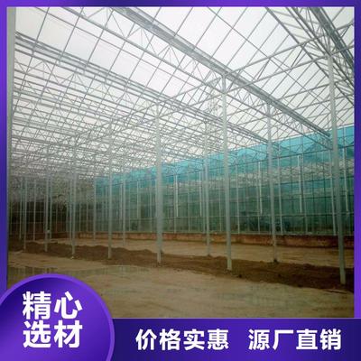 绿意守护者 郑州本土蔬菜温室大棚的品质与信誉