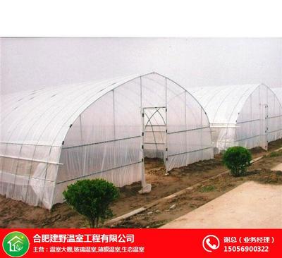 合肥建野大棚 打造高效农业的安徽温室大棚解决方案