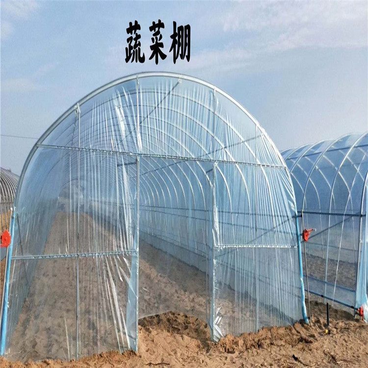 农村养牛大棚建设指南 实用羊棚设计与图片解析