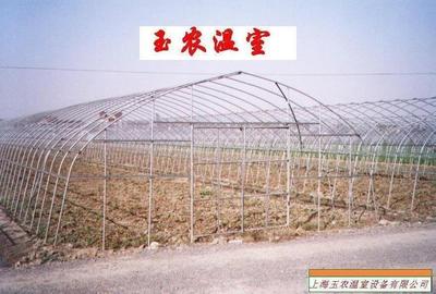 温室大棚中的镀锌钢管解决方案 推动低成本高效农作物贸易发展