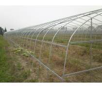 大棚产品库全解析 构建高效种植的关键要素