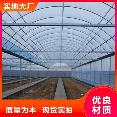 济南市铝管农业设施区域分析及大棚应用