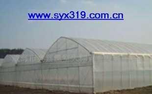 SYX319三农温室大棚配套产品 一站式解决方案构建高效农业新生态